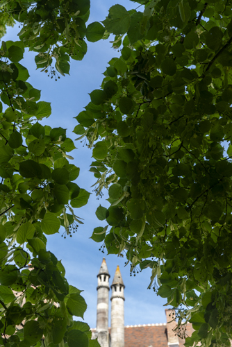 Abbaye de Noirlac
