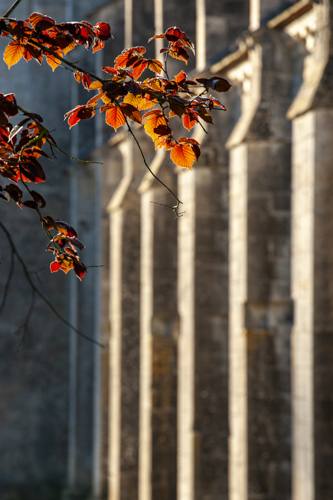Abbaye de Noirlac