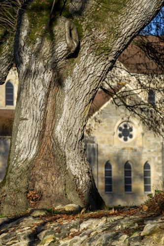 Abbaye de Noirlac
